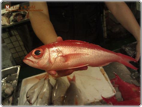 紅色魚種 木漢字